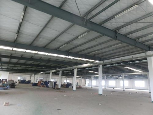 漳州科技工廠2500萬元成功拍賣，新主瞄準(zhǔn)技術(shù)開發(fā)新篇章