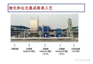 中科院王東升團隊 熱水解厭氧污泥新型調理技術的開發及工程應用