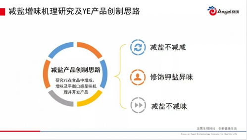 2021第五屆肉類加工與新產品開發技術研討會在鄭州召開，開啟肉類產業新未來